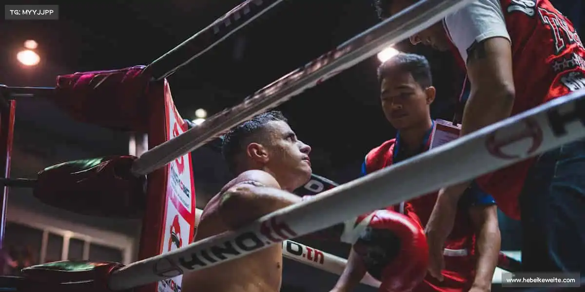 乐鱼APP——👊拳击擂台，铁拳称霸！